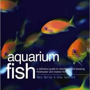 a-complete-guide-to-marine-fish-keeping