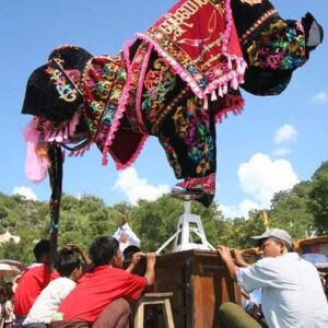 burma-and-the-elephant-dance
