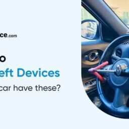 common sense is your best anti theft device