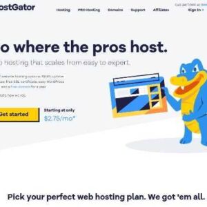 hostgator-web-hosting-services-why-are-they-ideal-to-host-your-websites