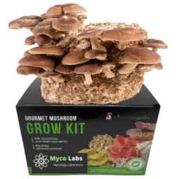 pros and cons mushroom growing kits