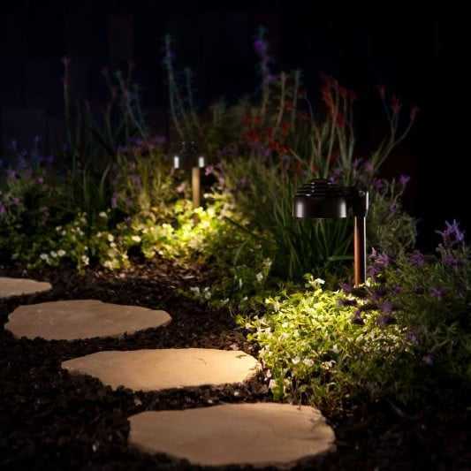 utilizing-landscape-light