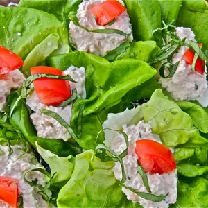 Hand-Held Shrimp Salads