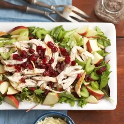 Cran-Apple Rooster Salad with Poppy Seed Dressing