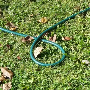 garden hose